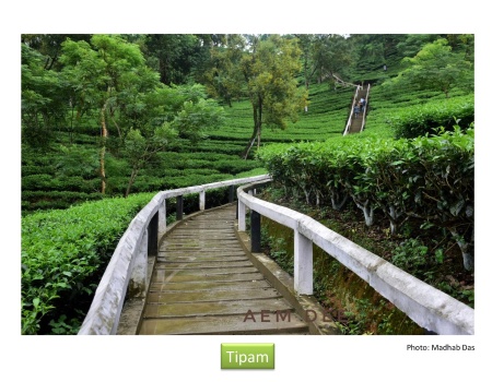 Tipam-Phake Buddhist Temple