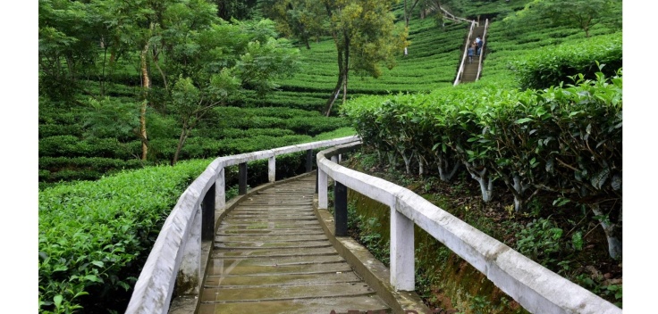 Tipam-Phake Buddhist Temple
